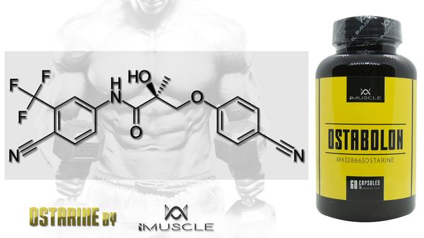 ostarine mk2866 most popular sarms in UK for 2020